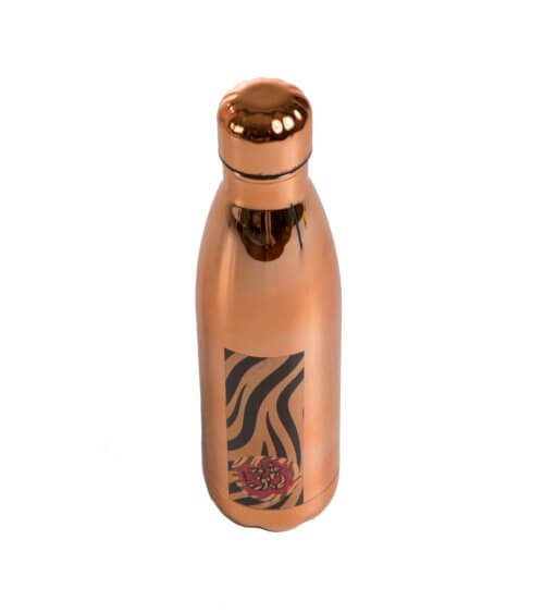 Copper Eco Water Bottle